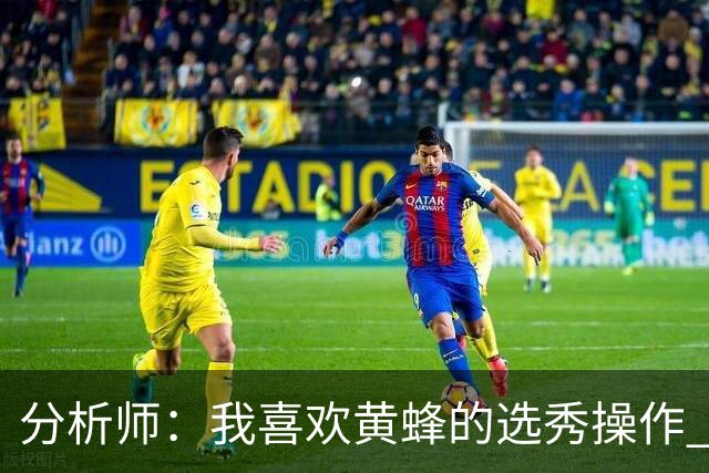 分析师：我喜欢黄蜂的选秀操作 施泰因巴赫简直是个内线巨兽