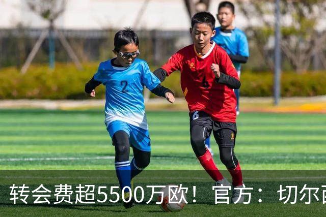 转会费超5500万欧！官方：切尔西签下21岁帕莱斯特拉，签约7年